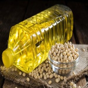 soybean adobestock 82343048 e.jpg