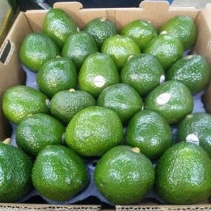 avocado.jpg