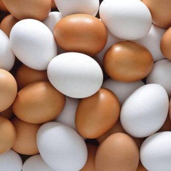 eggs.jpg eggs.jpg