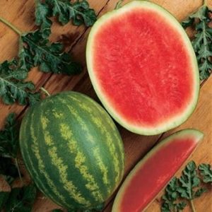 melon.jpg