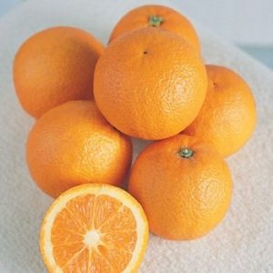orange.jpg