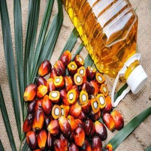 what is palm oil fruit bottle 69d5811917704134bf1ea428fb631499.jpg