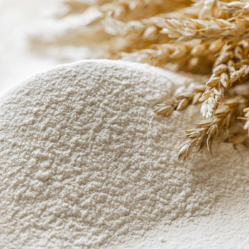 wheat.png wheat.png